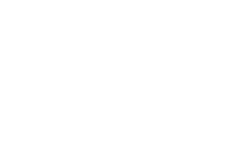 TV Breizh propose des rediffusions de séries télévisées françaises et de classiques de la fiction.